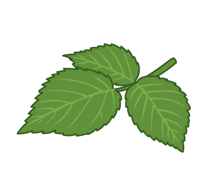 Raspberry Leaf