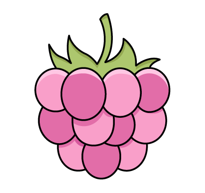 125g Raspberry Per Bottle